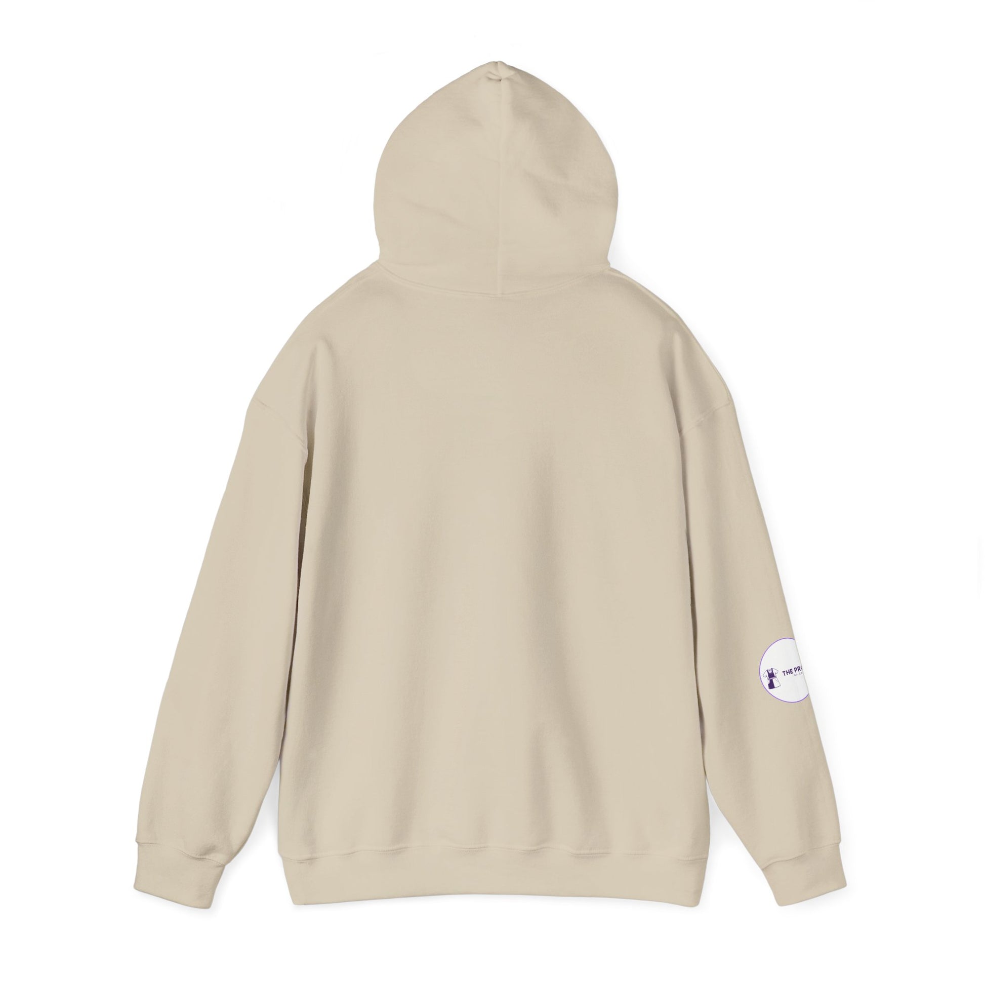Christian Nurse Hoodie stylish and meaningful nurse gift